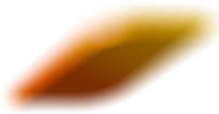 FPT Software