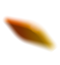 FPT Software