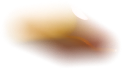 FPT Software